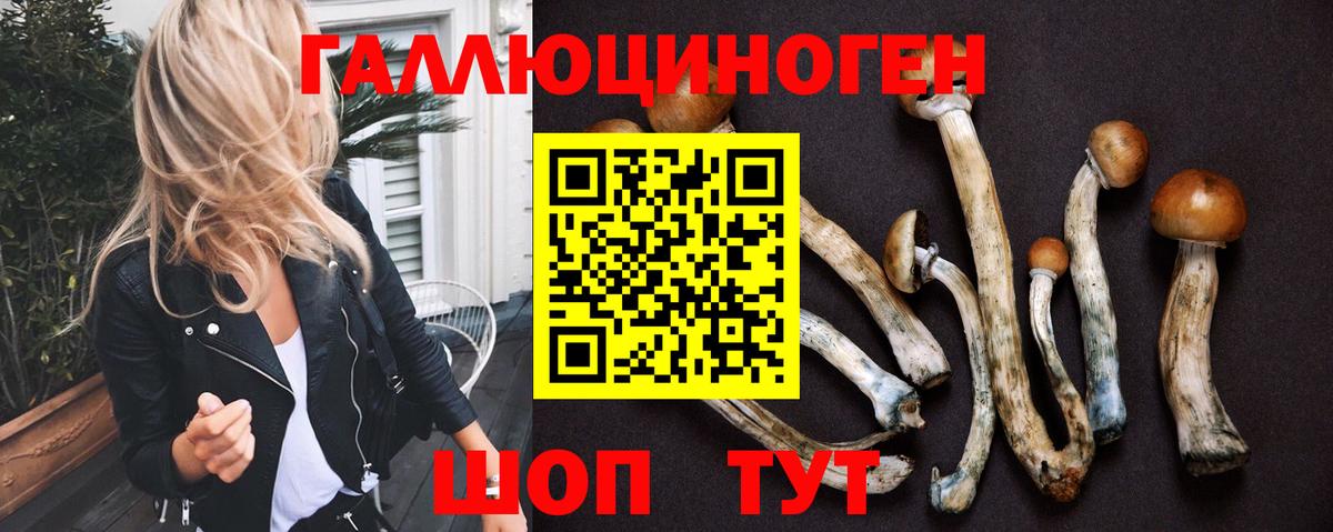 Галлюциногенные грибы Psilocybine cubensis Красноперекопск
